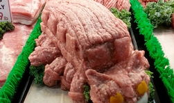 肉肉漫画,趣味横生的动物世界